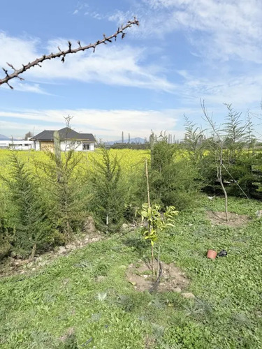 ¡gran Oportunidad En Curicó! Parcela 5000 M² Los Niches