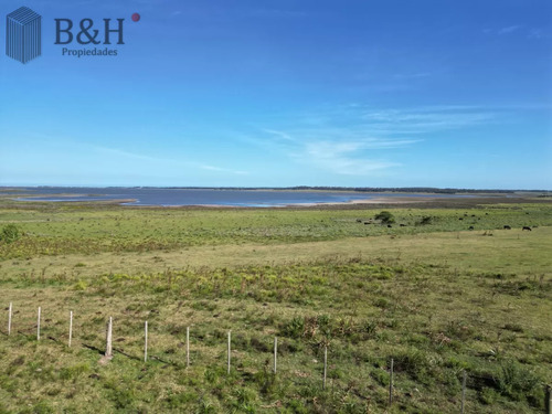 Campo En José Ignacio 