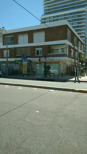Imagen 7 de 7 de Apartamento 1 Dormitorio 3 4 Personas A Acondicionado*oferta