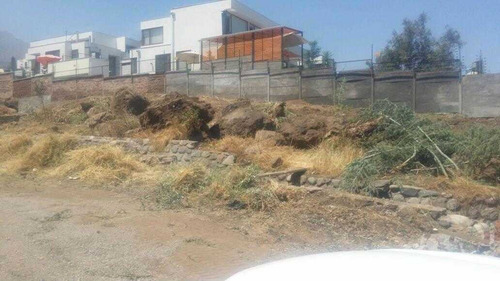 Imagen 7 de 12 de Fantastico Sitio En La Reina Alta