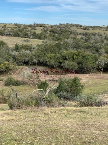 Imagen 25 de 30 de Venta Chacra 5 Has Ubicada En Jose Ignacio Proximo A Garzon