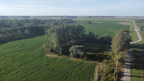 Campo En Lobos