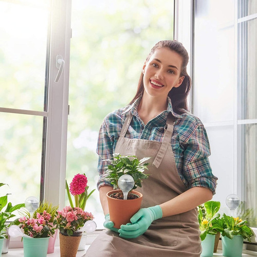 8 Bolas De Riego Automático De Bulbos De Riego De Plantas