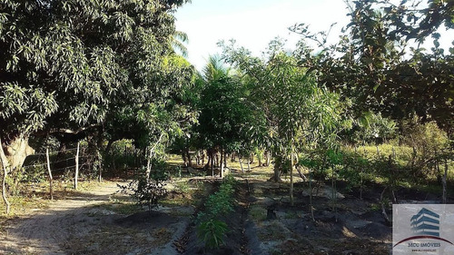 Imagem 11 de 21 de Granja A Venda Em Mangabeira, Macaíba