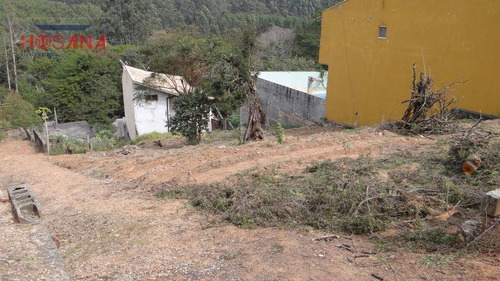 Imagem 4 de 7 de Terreno Residencial À Venda, Nova Caieiras, Caieiras. - Te0206
