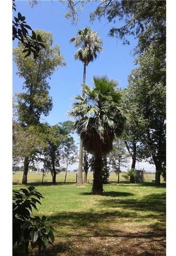 Imagen 23 de 30 de Campiñas De Piñero - Lote De 648 M2