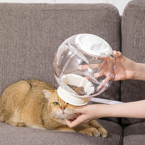 Para Gato, Casco Para Gato, Transpirable, Antimordidas,