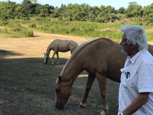 Se Vende Campo Mixto 161 Ha En Los Molinos (córdoba), A Tranquera Cerrada.