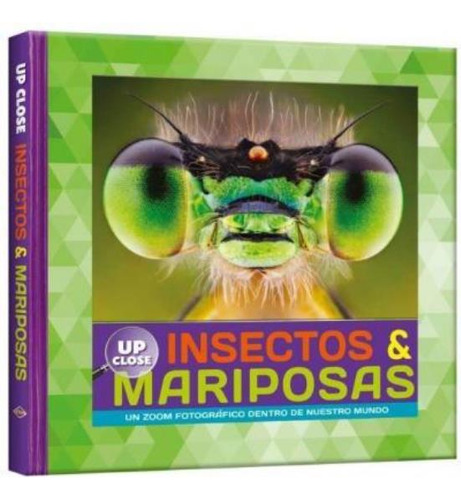 Insectos Y Mariposas