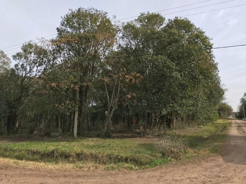 Imagen 3 de 13 de Lote | Mendoza