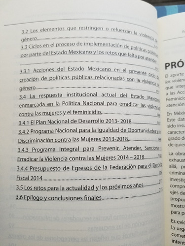 A0 Feminicidio Un Enfoque Sistémico, Camara De Diputados (Usado)