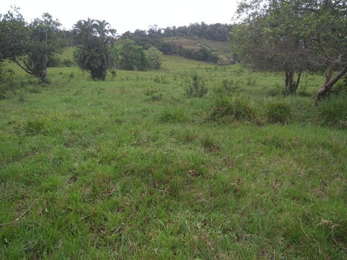 Imagem 29 de 30 de Fazenda - Fa00001 - 33289252