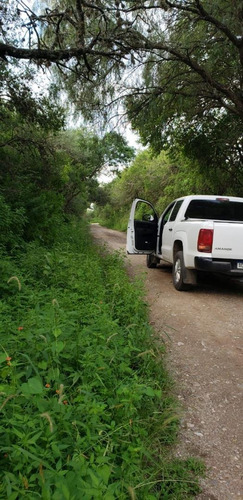 Imagen 8 de 8 de Magnifico Lote De 5000 M2