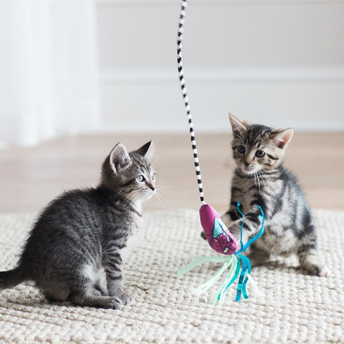 Imagem 4 de 4 de Brinquedo Interativo P/ Gato Fat Cat Catfisher Teasers Frog