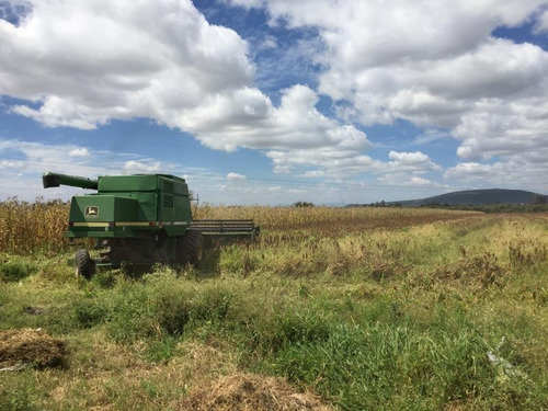 Imagen 4 de 5 de Terreno Comercial En Venta Carrizal Grande
