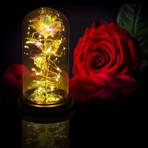 Colorida Flor De Rosa Regalo Para San Valentín
