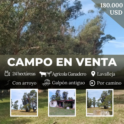 Campo 24 Hectáreas Lavalleja - Agrícola/ganadero