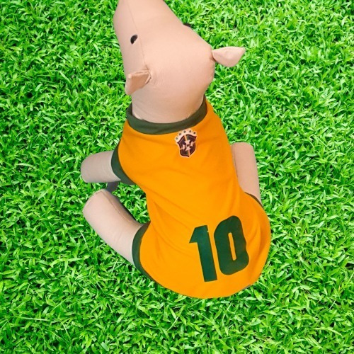 Roupinha Cachorro Camisa Copa Personalizado Com Nome Tam 2