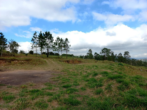 Imagem 9 de 9 de Lotes/ Terrenos