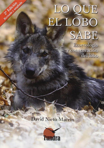 Libro: Lo Que El Lobo Sabe. Nieto, David. Tundra