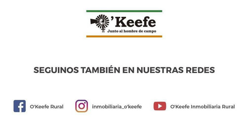 Campo En Venta De 50 Has En Carlos Keen - A 1 Hora De Caba