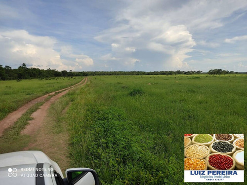 Imagem 11 de 15 de Fazenda Á Venda Em Cristalândia 503.36 Hectares (dupla Aptidão) - 1628