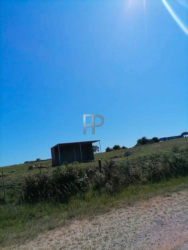 Imagen 12 de 12 de Chacra En Venta Pueblo Edén 2 Dorm, 5 Has #1744