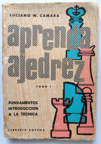 Aprenda Ajedrez 1 Fundamentos Técnica Luciano Camara Chess