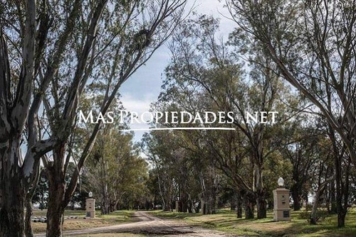 Lote En Venta En Lagos De San Eliseo Canning