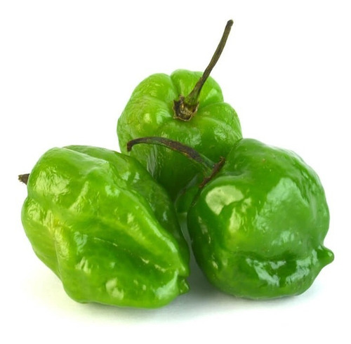 Chile Habanero 1 Kg Agroecológico Excelente Calidad