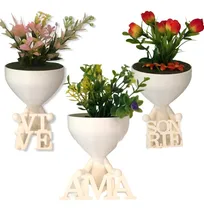 Comprar 20 Macetas Maceteros Para Cactus O Suculentas Oferta X 20 U