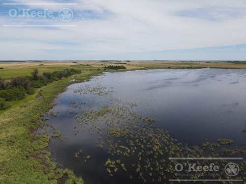 Imagen 3 de 25 de Campo En Venta En Lezama - 530 Has. Ideal Turismo Rural Con Laguna. Pesca - Retasado