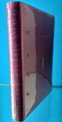 Biblias Reina Valera Contemporánea 