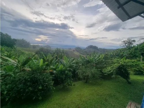Finca De 3 Cuadras En Venta A 15 Minutos De Calarcá