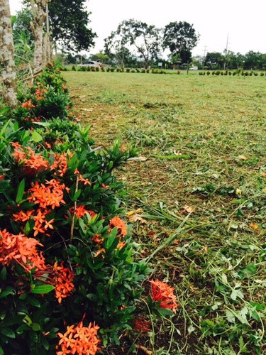 Imagen 5 de 10 de Se Vende Lote 749 M2 La Fortuna San Carlos