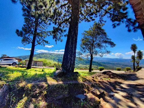 Imagen 6 de 9 de Venta Granja En Borota Ah