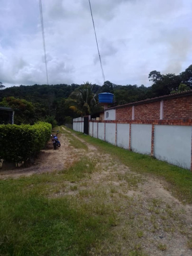 Imagen 8 de 23 de Cf. Se Vende Finca En La Fría, Cerca De La Termoeléctrica