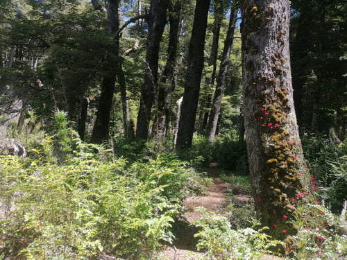 Lotes Terrenos Parcelas En Preventa Con Costa De Rio Paraje Rincón Ruta 231 Villa La Angostura