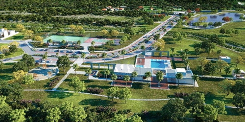 Terreno À Venda Em Ratones - Te005239