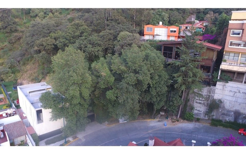 Imagen 3 de 6 de Lote 12 Bosques De La Herradura