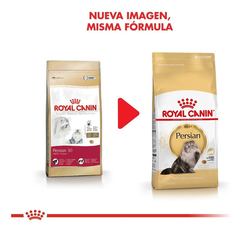Imagen 3 de 7 de Alimento Royal Canin Feline Breed Nutrition Persian para gato adulto sabor mix en bolsa de 1.5 kg