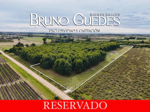 Chacra En Venta 3,1 Has Etchevarria Canelones