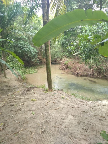 Chácara Em Mongaguá - 3096 - 34896566