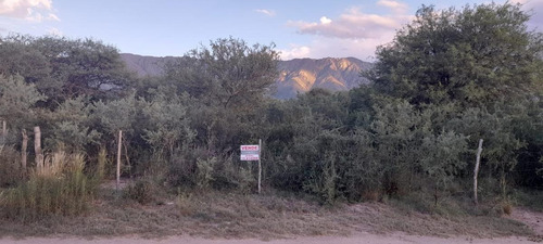Imagen 4 de 11 de Terreno - Las Calles