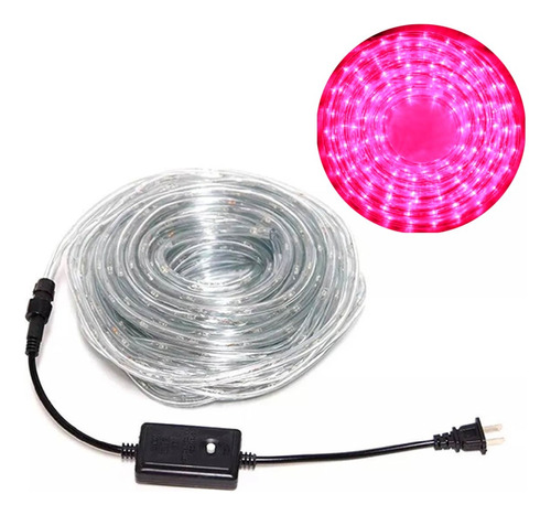 Manguera Rollo Tira Led 10 Mts Fucsia Rosado + Controlador