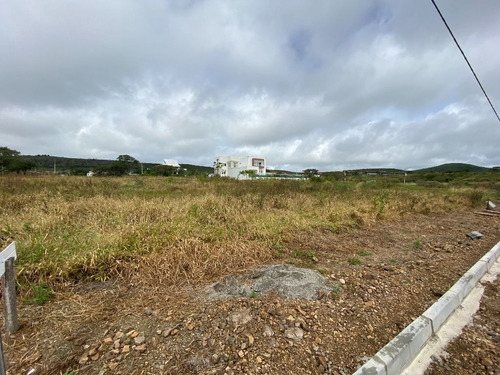 Imagem 5 de 30 de Terreno No Monte Castelo, À Venda - Gravatá/pe - Te0507