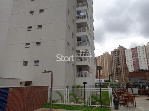 Imagem 15 de 30 de Apartamento À Venda Em Cambuí - Ap007135