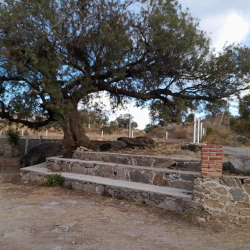 Venta De 20 Hectáreas Sobre Ruta En Tala Cañada...ref 1557