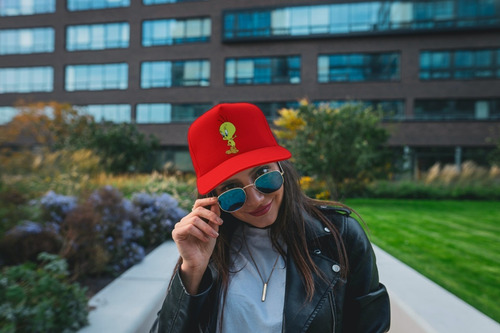 Gorra Unisex Ajustable Estampada Silvestre Y Piolin A188