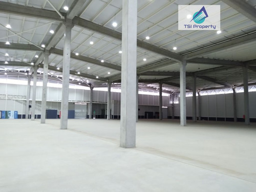 Bodega En Arriendo 774 Mt2 En Caupolican Quilicura